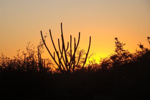 Locais de aplicação das provas da Seleção do PPGB 2017.1